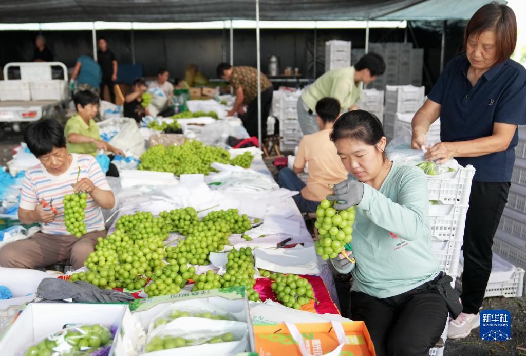 澳门银娱优越会网址